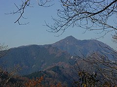 馬頭刈尾根から見た大岳山