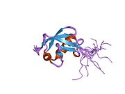 1p1a: NMR structure of ubiquitin-like domain of hHR23B