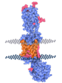 Protein Imager Rendering Example Membrane protein