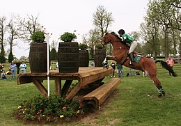 Cheval bai et cavalier franchissant uen table en bois massive sur un cross.