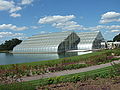 A modern glasshouse in RHS Wisley