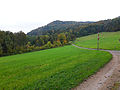 Blick ins Reppischtal bei Dietikon mit dem 587 Meter hohen Hohbüel, der höchsten Erhebung der Gemeinde Urdorf