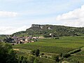 Village de Solutré-Pouilly,et vignoble de l'AOC Pouilly-Fuissé.