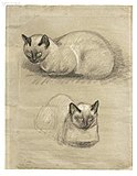 "Gatos siameses" de Théophile-Alexandre Steinlen