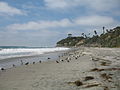 Swami's beach in Encinitas, looking north towards the point, 2007