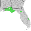 Map of Alabama and Florida with counties of distribution of Symphyotrichum chapmanii shaded in green: Primarily the Apalachicola River drainage basin. Alabama counties — Geneva and Houston; Florida counties — Alachua, Bay, Calhoun, Franklin, Gulf, Jackson, Liberty, Okaloosa, Santa Rosa, St. Lucie, Wakulla, Walton, and Washington.