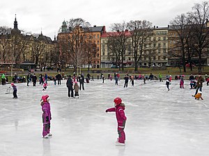 Skridskoåkning i Vasaparken, december 2016.