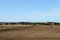 Croplands near Vejby church, 2018