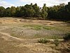 Mousehold Heath