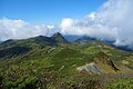 2021年6月4日 (金) 14:36時点における版のサムネイル