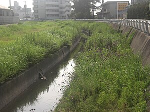 興源寺川