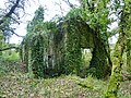 Bois de Mezle : ancienne carrière d'ardoises, bâtiment d'exploitation en ruine.