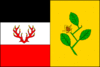 Flag of Bučí