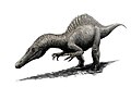 Old Siamosaurus; retool as Camarillasaurus?