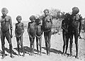 Cape Dombey people in Northern Territory, circa 1905