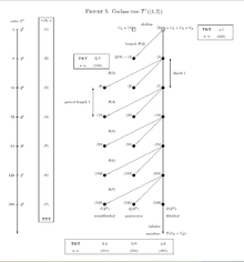 Coclass1Tree2Groups