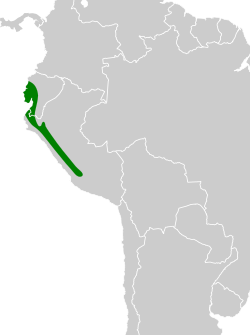 Distribución geográfica del pibí tropical occidental.