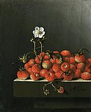 アドリアーン・コールテ『苺のある静物』1665年頃