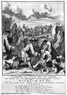 William III's accident