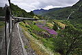 Flåm Line