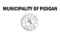 Flag of Pidigan