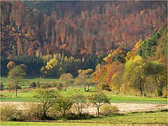 La vallée de la Weser dans la forêt de Reinhard.