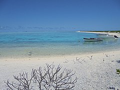 Flora, Fauna and landscapes from The Thirteen Islands of St. Brandon