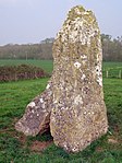 Burial chamber (remains of), Murtry Hill, Orchardleigh Park