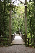 Pont suspendu au-dessus des chutes.