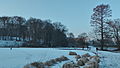 Le parc de Woluwe sous la neige.