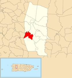 Location of Pezuela barrio within the municipality of Lares shown in red