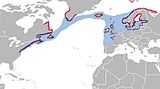 Aire de répartition du Goéland marin