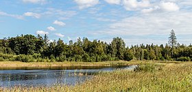 Noordoostpolder