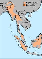 Carte visualisant la distribution du Rhinocéros de Sumatra.