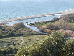 Embouchure du Taravo à Olmeto.