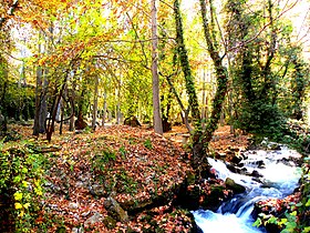 Karaman (province)