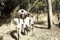 Armed guards carrying wounded to the Senegal border, Guinea-Bissau, 1974.