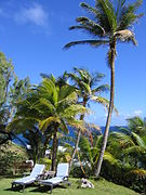 Tourist resort in Bathsheba, Saint Joseph