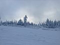 A view on the Cold Camp run in December 2015