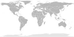 flattened non-equirectangular