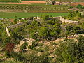 Enclos-apier de Correns (alt. : 219 m), à 4 gradins et cabanon extérieur.