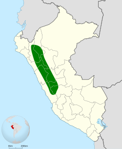 Distribución geográfica del curutié de Baron.