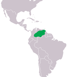 Distribución (verde)