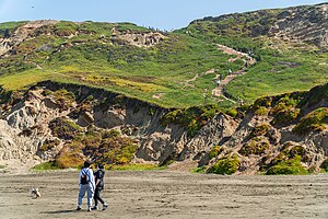 An image showing the large Dutch sand ladder leading from the parking lot to the beach at Fort Funston.
