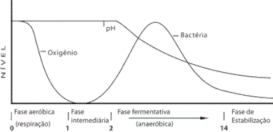 Fonte: Rianiveterinaria