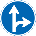 Only straight ahead or right turn permitted