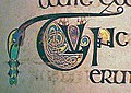 Una de miles de las pequeñas letras capitales decoradas del Libro de Kells.