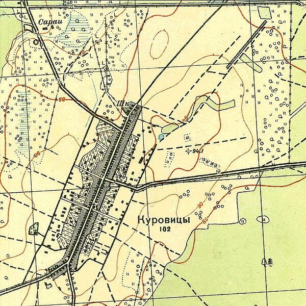 План деревни Куровицы. 1931 год