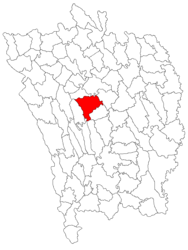 Location in Vaslui County