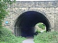 Old disused railway tunnel on the Spen Valley Greenway between Low Moor and Mirfield (2005).